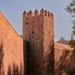 a tall brick tower sitting next to a lush green forest